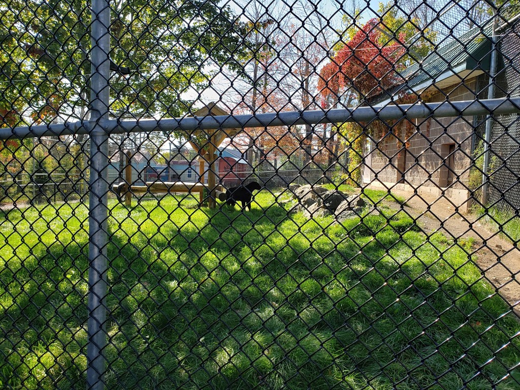 Magnetic Hill Zoo | 125 Magic Mountain Rd, Moncton, NB E1G 4V7, Canada | Phone: (506) 877-7720