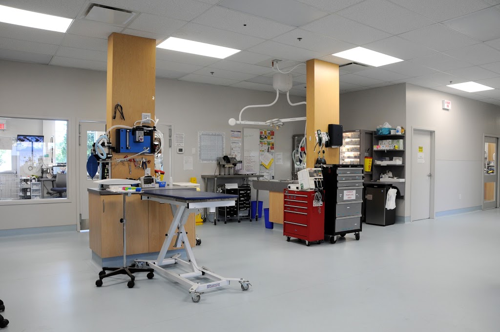 404 vet emergency hospital