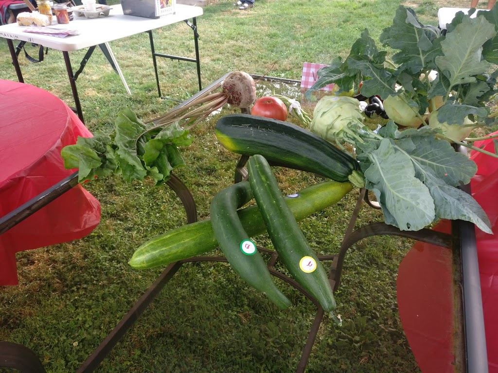 Community Garden | 6012-7528 Meadow Ave, Burnaby, BC V3N 1Y6, Canada