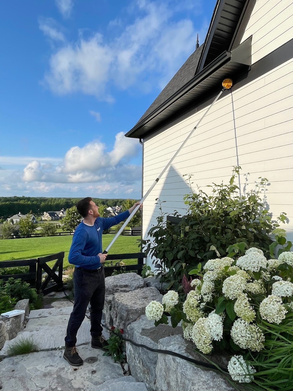 Insight Pest Solutions | Box 14, 1 Crescent Rd, Huntsville, ON P1H 1Z6, Canada | Phone: (855) 489-3640