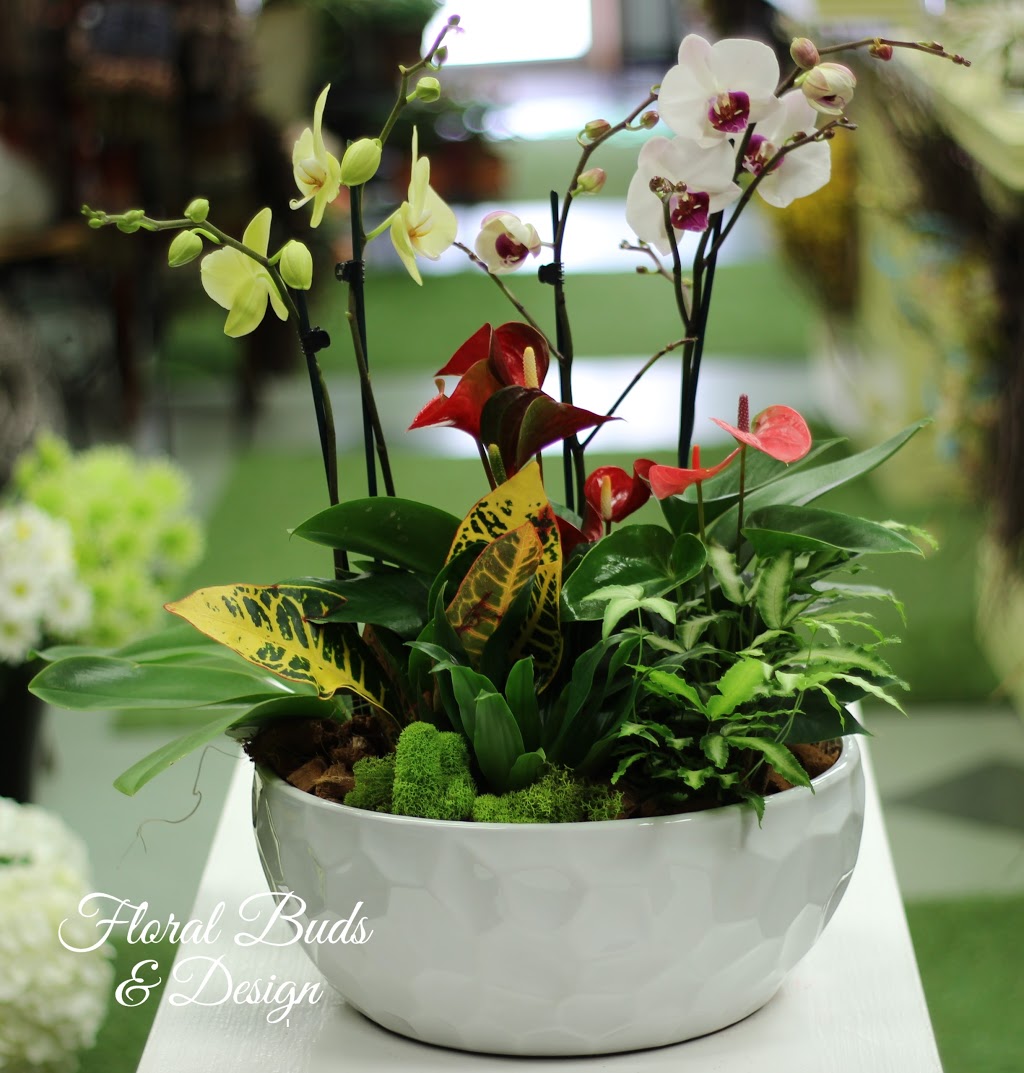 Floral Buds And Design | 507 Dundas St, Woodstock, ON N4S 1C3, Canada | Phone: (519) 537-5700