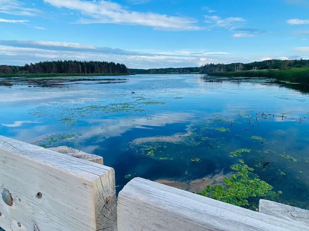 Cavendish Beach, Prince Edward Island National Park | 590 Grahams Ln, Cavendish, PE C0A 1M0, Canada | Phone: (902) 672-6350