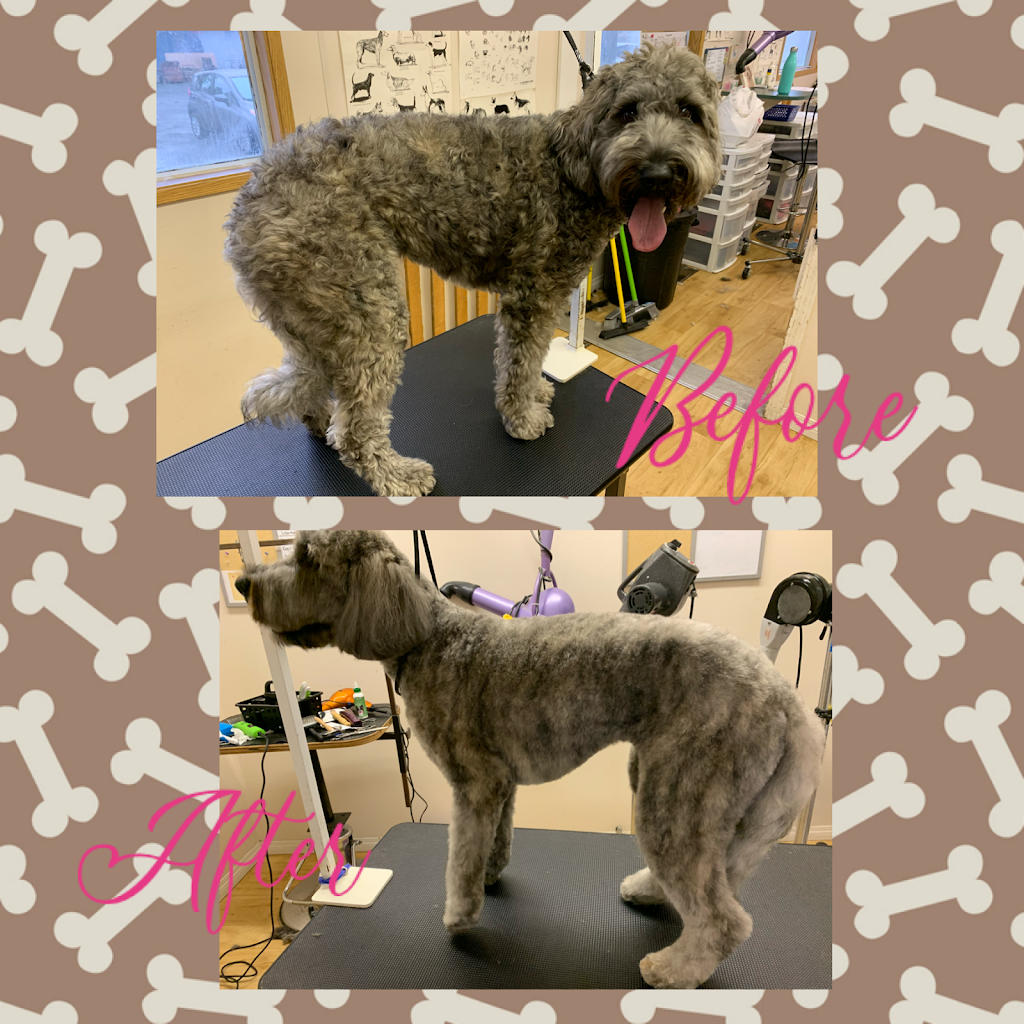 The Dogs Paw | 1423 Brunette Ave #207, Coquitlam, BC V3K 7A2, Canada | Phone: (778) 879-7694