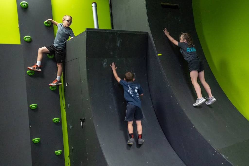 Life Force Ninja | 440 W Horton Rd, Bellingham, WA 98226, USA | Phone: (360) 738-4724