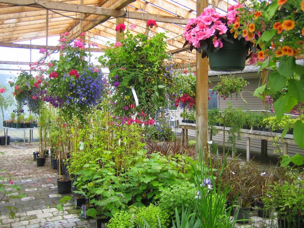 Tri-Star Nurseries & Landscape Supplies Ltd. | 5047 184 St, Surrey, BC V3X 1B5, Canada | Phone: (604) 576-6732