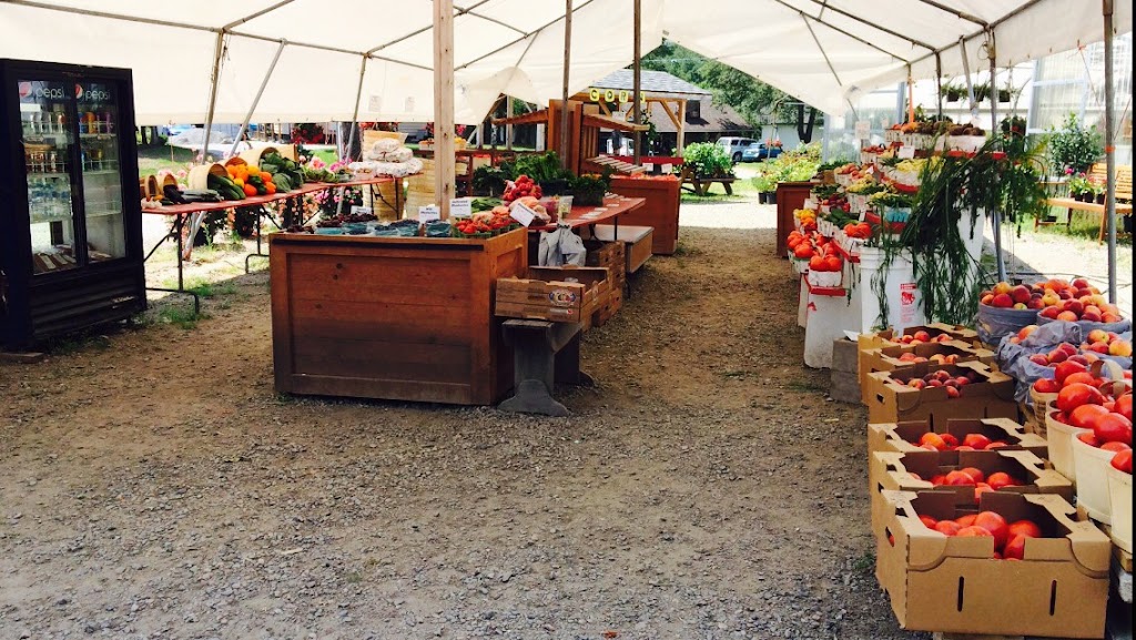 Landis Fruit Market | 503 Hastings St N, Bancroft, ON K0L 1C0, Canada | Phone: (613) 332-6830