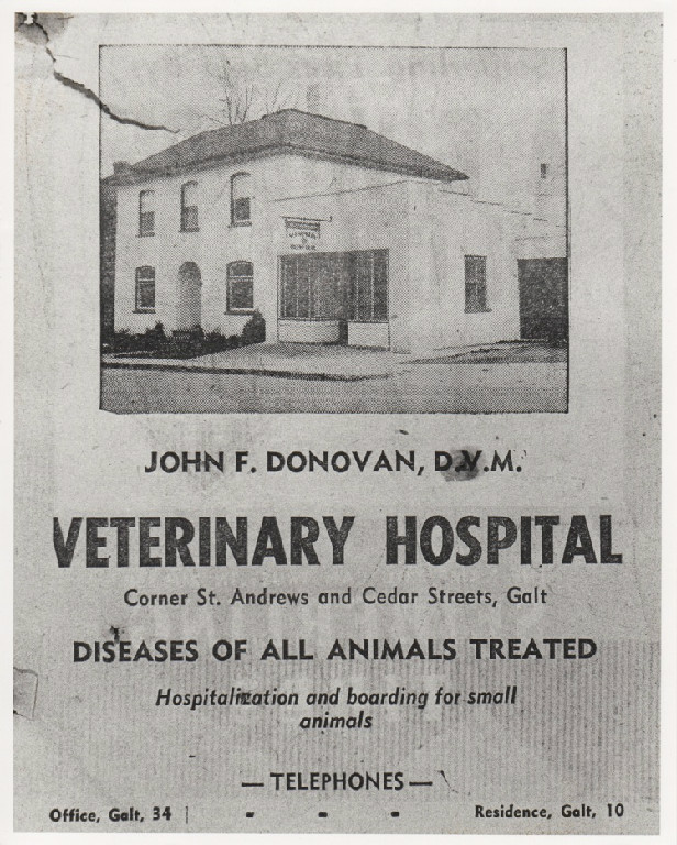Holliday Veterinary Hospital | 77 Cedar St, Cambridge, ON N1S 1V6, Canada | Phone: (519) 621-0251