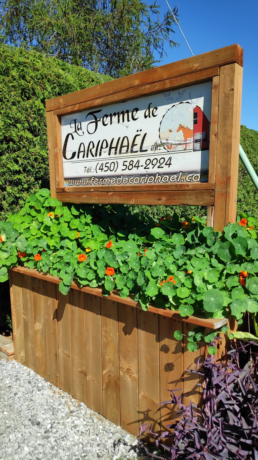 La Ferme de Cariphaël | 381 Des 60 Rang, Saint-Marc-sur-Richelieu, QC J0L 2E0, Canada | Phone: (450) 584-2924
