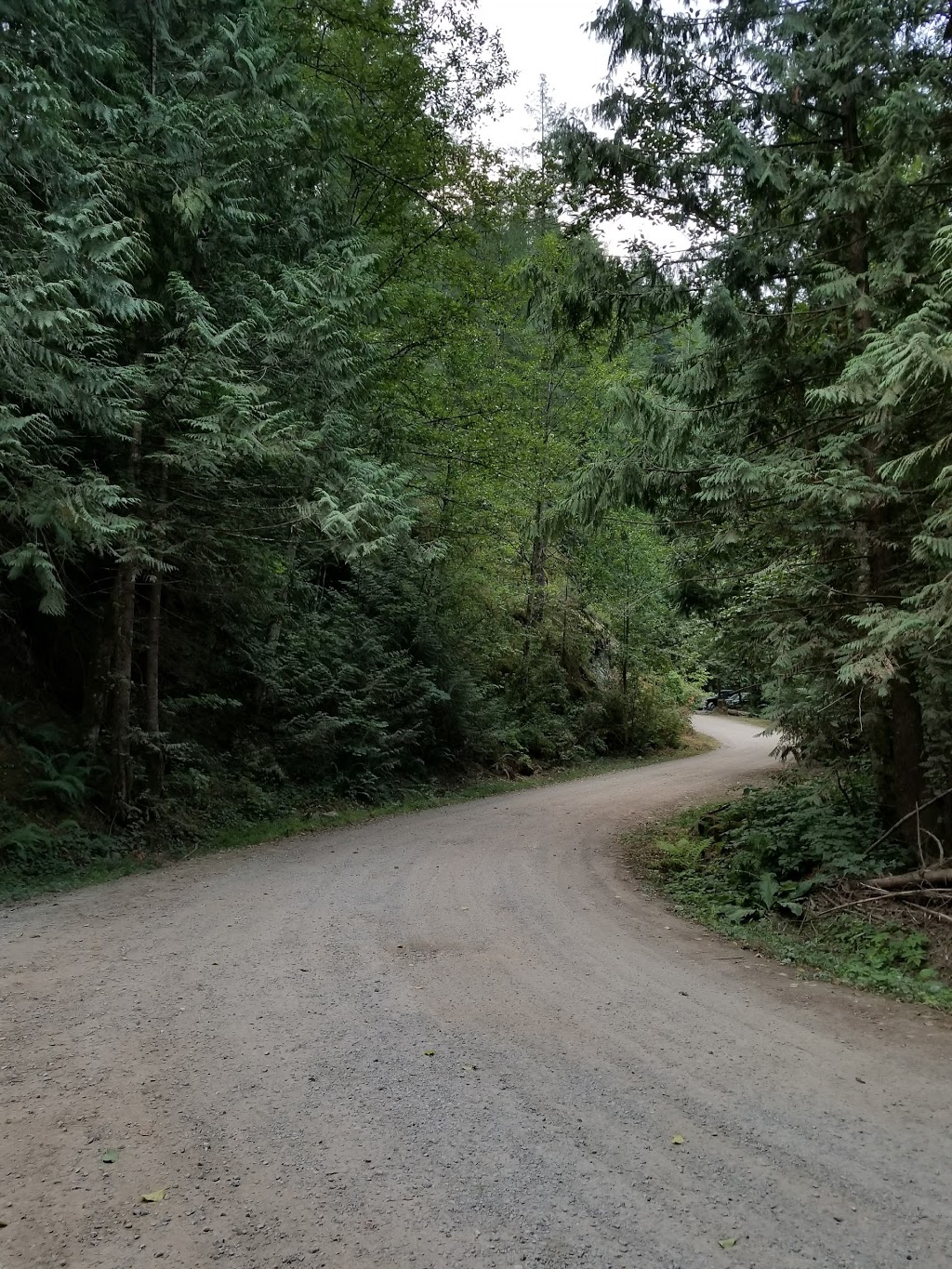 Weaver Lake Campground | Unnamed Rd, 1A1, Agassiz, BC V0M 1A1, Canada