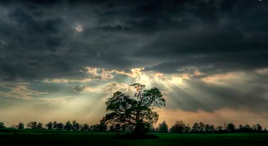 Majkowski Chiropractic | 1821 Como Park Blvd, Lancaster, NY 14086, USA | Phone: (716) 473-5283
