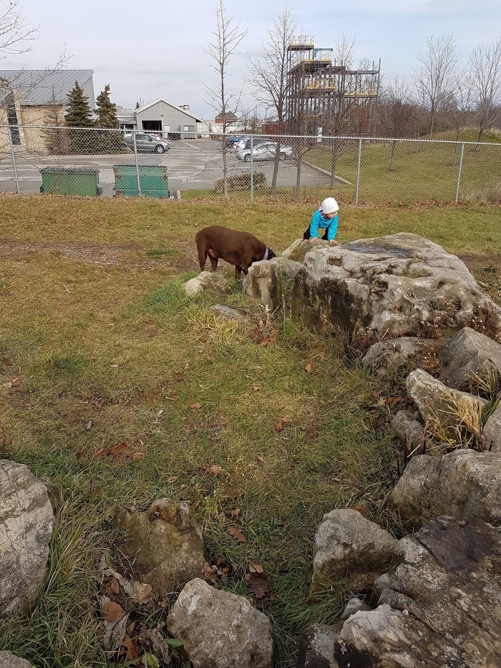 Hamilton/Burlington SPCA Dog Park | 245 Dartnall Rd, Hamilton, ON L8W 3V9, Canada | Phone: (905) 574-7722