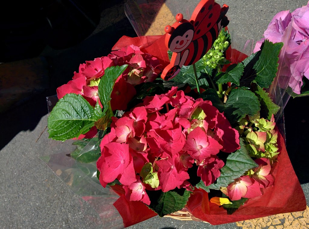 Touch Of Class Florists | 118-8011 No 1 Rd, Richmond, BC V7C 1T8, Canada | Phone: (604) 277-9618