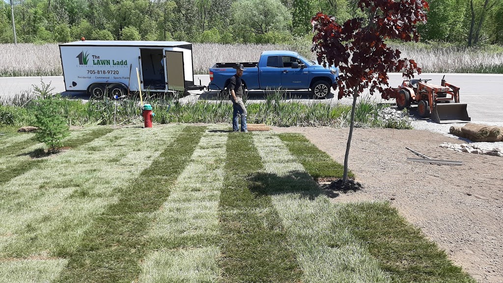 The Lawn Ladd | 1607 Rimkey Cres, Severn, ON L3V 0E9, Canada | Phone: (705) 818-9720