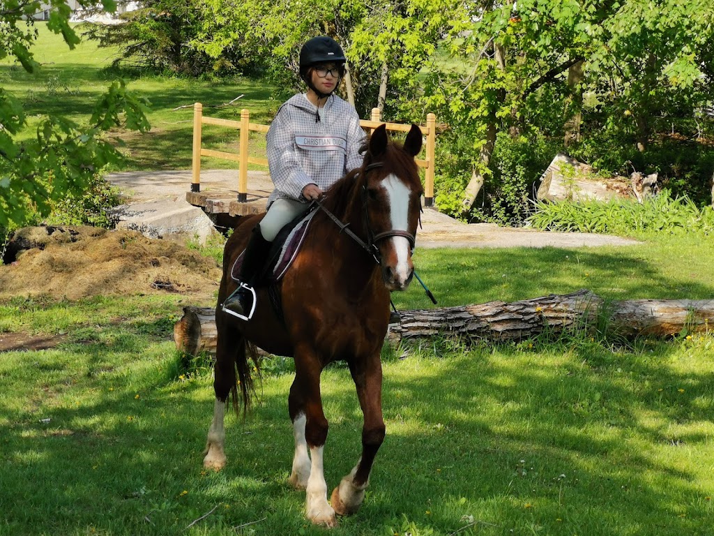 Sunny Equestrian Inc. | point of interest | 11204 Kennedy Rd, Markham, ON L6C 1P1, Canada | 4379892251 OR +1 437-989-2251