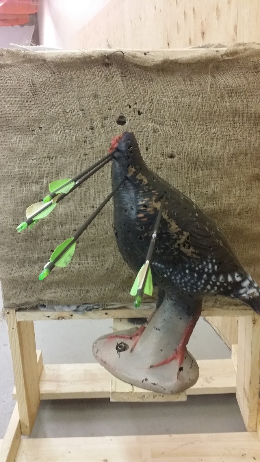 Far Shot Recreation (Axe Throwing, Archery, Knife Throwing) | 10 Centennial Rd #5, Orangeville, ON L9W 1P8, Canada | Phone: (519) 938-8889
