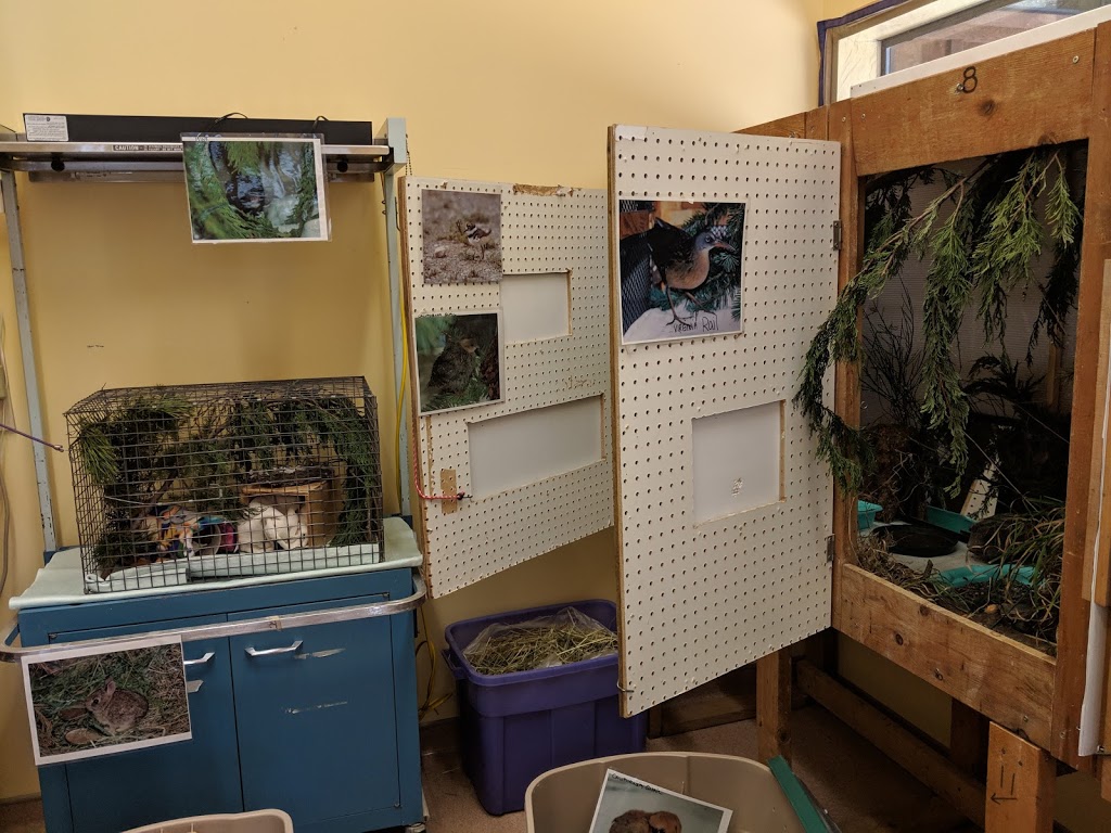 BC SPCA Wild Animal Rehabilitation Centre (Wild ARC) | 1020 Malloch Rd, Victoria, BC V9C 4G9, Canada | Phone: (855) 622-7722
