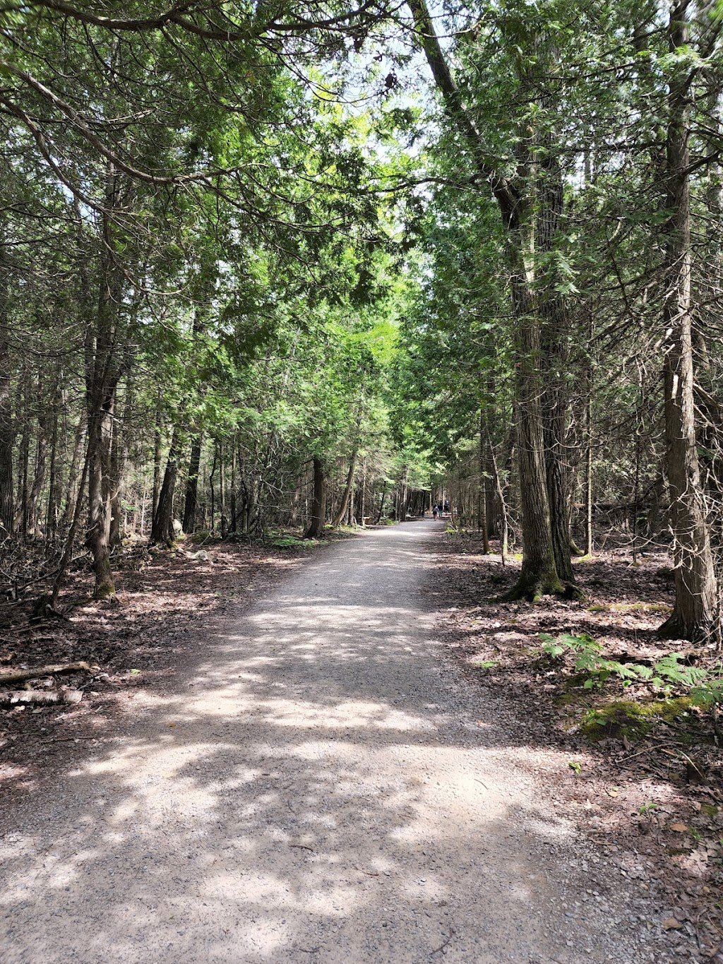 Halfway Log Dump Parking | Halfway, Log Dump Rd, Tobermory, ON N0H 2R0, Canada | Phone: (519) 596-2233