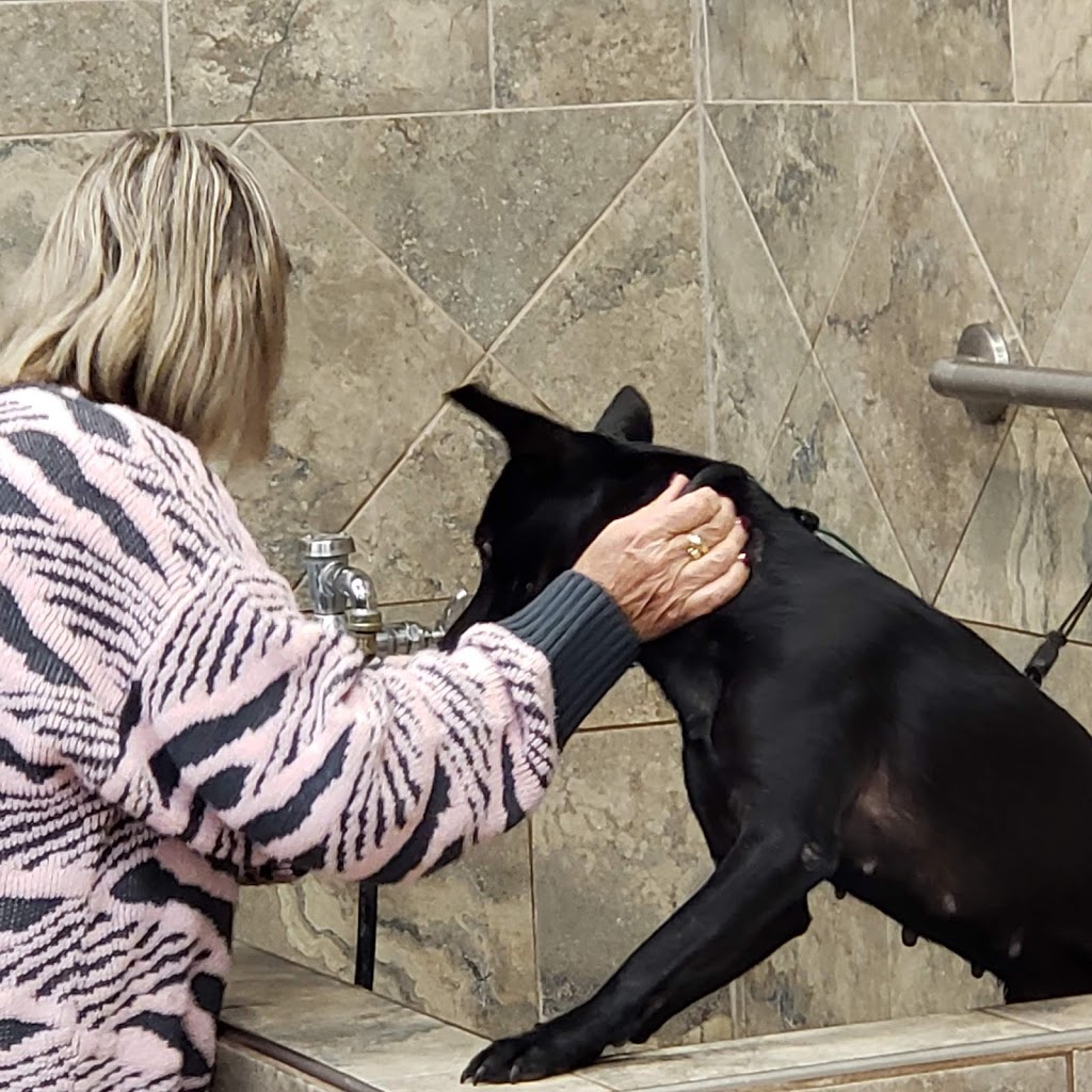 Pet Valu | 39 Lansdowne Ave, Carleton Place, ON K7C 3S9, Canada | Phone: (613) 253-8400