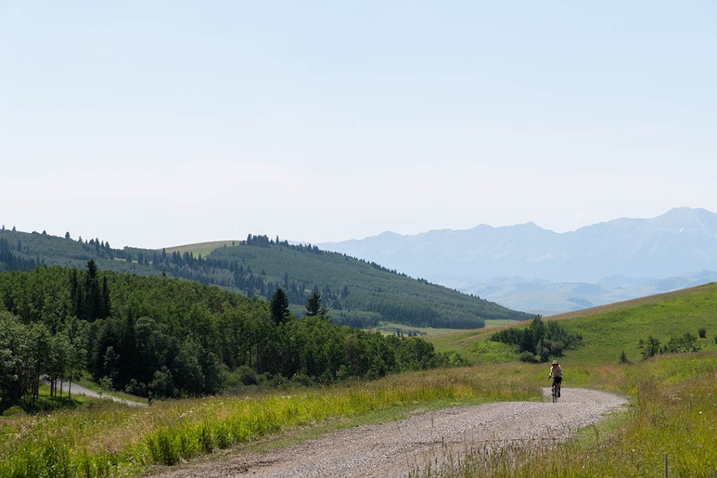 Wild Rose Adventures | 1439 10 Ave SE #130, Calgary, AB T2G 0X1, Canada | Phone: (403) 457-2453