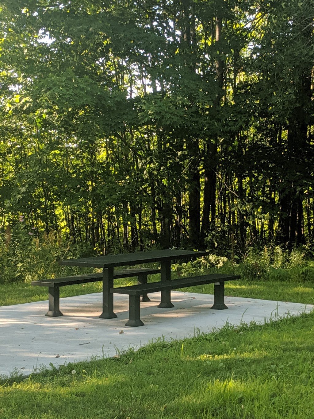 Réserve naturelle Marie-France-Pelletier | 550 Chemin des Prairies, Joliette, QC J6E 8T8, Canada