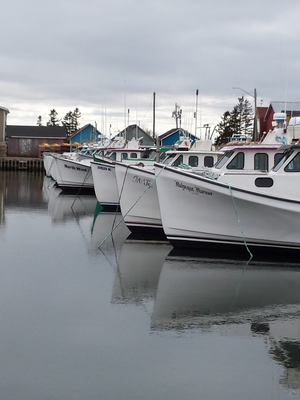 Cabot Fishermens CO-OP | 388 King St, Kensington, PE C0B 1M0, Canada | Phone: (902) 888-9214