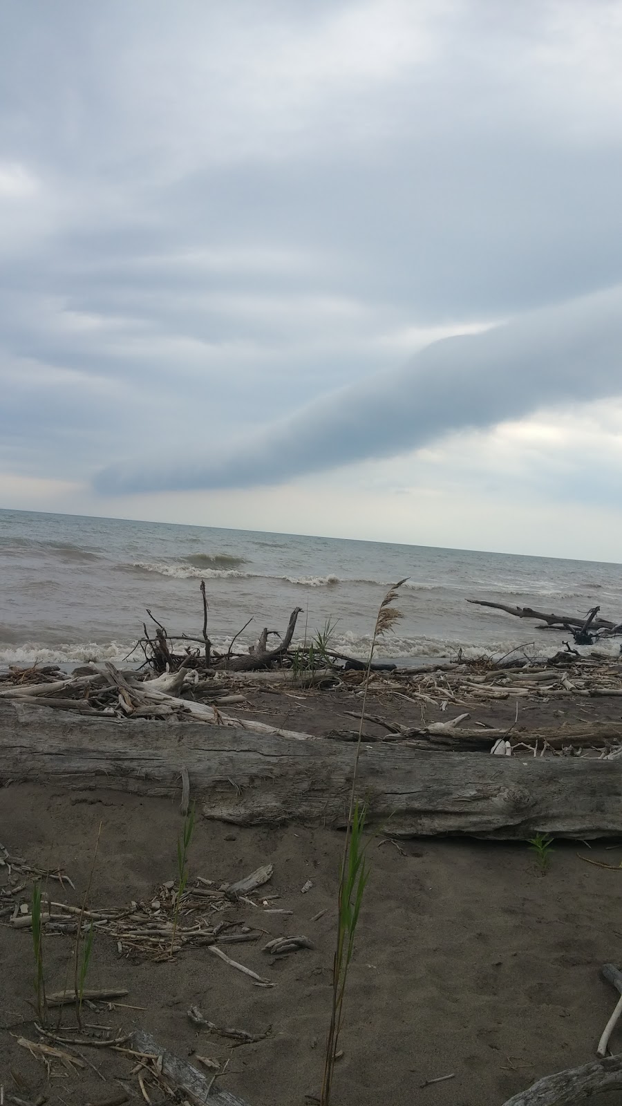 North Erie Marina | 3344 Bank St, Aylmer, ON N5H 2R2, Canada | Phone: (519) 765-2010