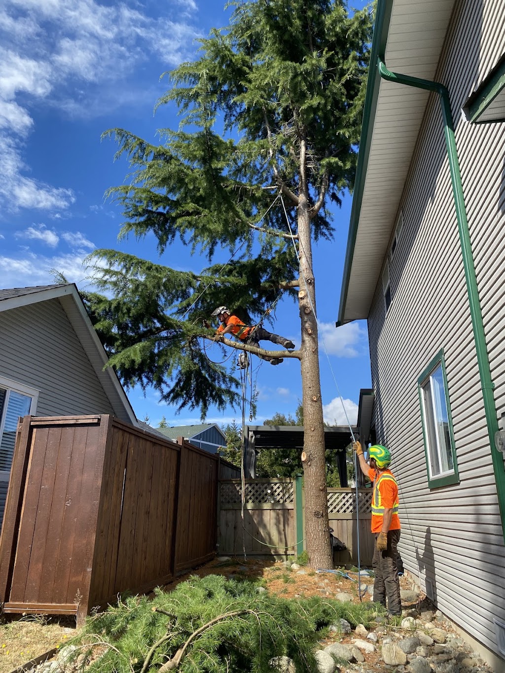 The Orange Tree Service | 1474 Hurford Ave, Courtenay, BC V9N 6X3, Canada | Phone: (250) 207-6764