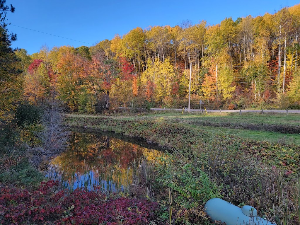 Barrys Bay Golf Club | 2937 Old Barrys Bay Rd, Barrys Bay, ON K0J 1B0, Canada | Phone: (613) 756-2484