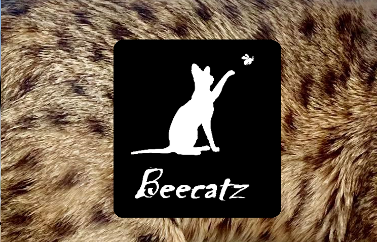 Chatterie Beecatz | Rue Louis-Pasquier, Mont-Saint-Hilaire, QC J3H 0A1, Canada | Phone: (514) 668-7518