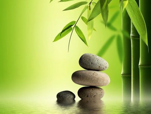 Clinique De Massotherapie Et D | 643 Rue Adoncour, Longueuil, QC J4G 2M6, Canada | Phone: (450) 647-1133