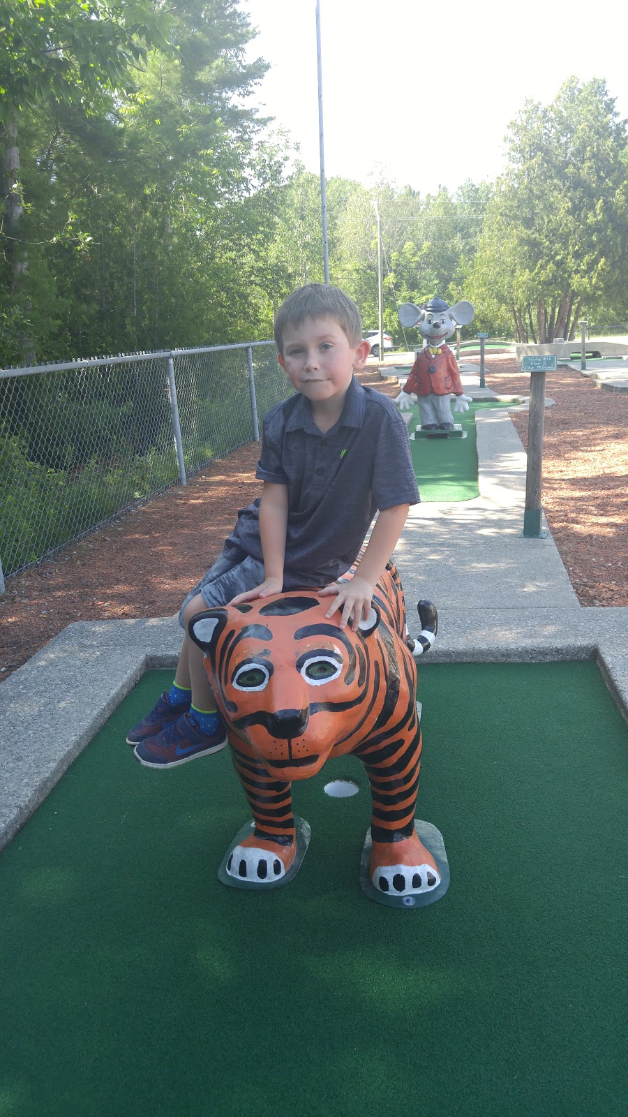 Balm Beach Go Karts & Mini Putt | 239 Balm Beach Rd W, Tiny, ON L0L 2J0, Canada | Phone: (705) 526-6801