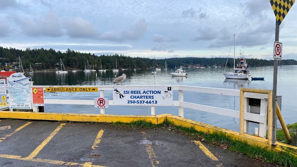 Saltspring Reel Action Fishing Charters | 115 Desmond Crescent, Salt Spring Island, BC V8K 2S1, Canada | Phone: (250) 537-6613