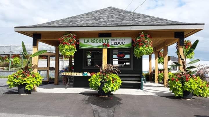 La récolte des Frères Leduc | 700 Bd du Bord de lEau, Salaberry-de-Valleyfield, QC J6S 0B5, Canada | Phone: (450) 802-0650