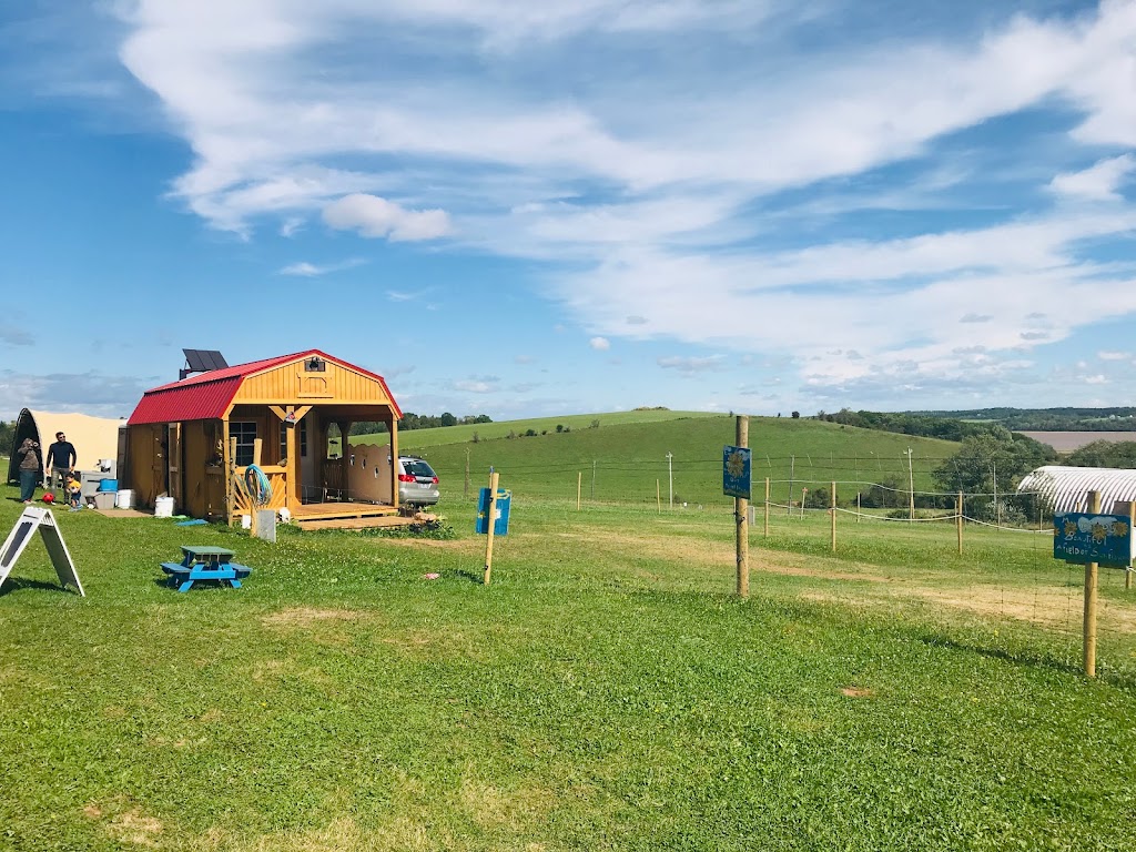 Dakeyne Farm | 1137 Nova Scotia Trunk 1, Falmouth, NS B0P 1L0, Canada | Phone: (902) 790-0542