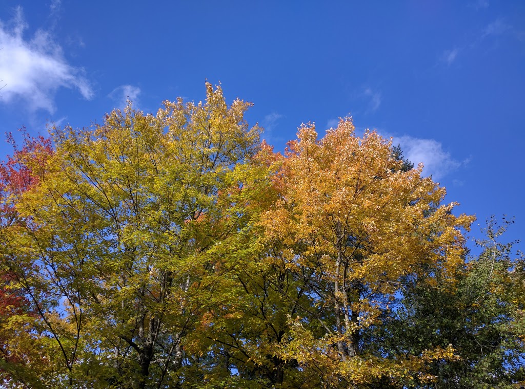 Riley Lake | 1142-1160 Deerfly Dr, Washago, ON L0K 2B0, Canada | Phone: (705) 644-0800