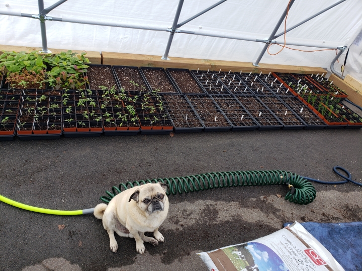 Happy Maple Nursery | 19 Parmalea Crescent, Nepean, ON K2E 7J1, Canada | Phone: (613) 266-7045