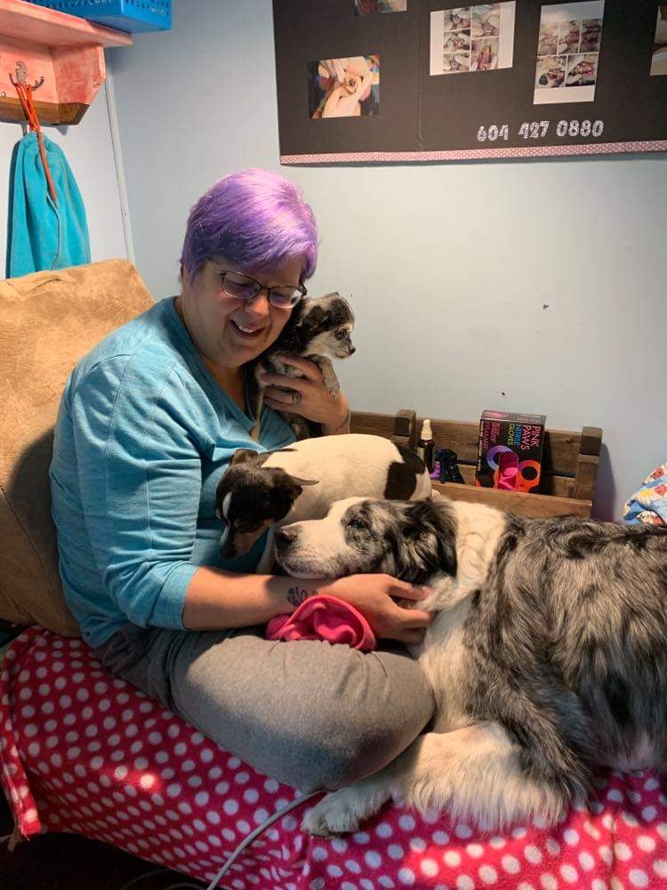 Dog gone beautiful Smiles aldergrove | 27159 Fraser Hwy, Aldergrove, BC V4W 3P7, Canada | Phone: (604) 427-0880