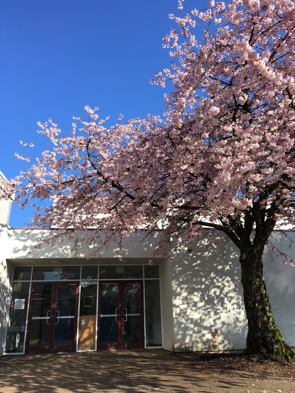 Morley Elementary School | 7355 Morley St, Burnaby, BC V5E 2K1, Canada | Phone: (604) 296-9024