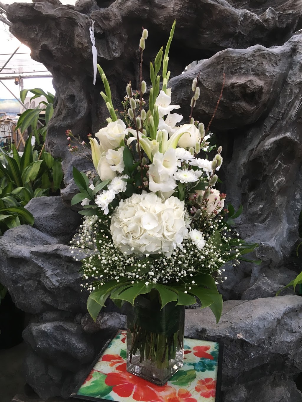 Rosemary Flowers | 9 Tribune Dr, Brampton, ON L7A 0X5, Canada | Phone: (289) 654-5742