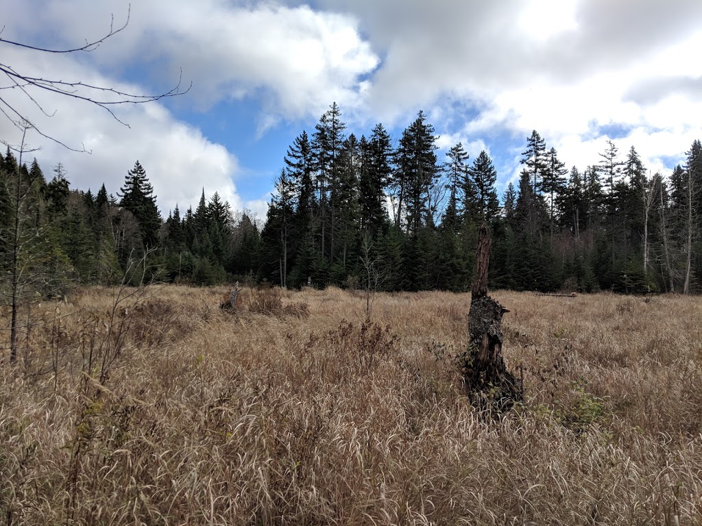 Cap De La Fée | 1712 Chemin Régimbald, Saint-Donat-de-Montcalm, QC J0T 2C0, Canada | Phone: (800) 363-2788