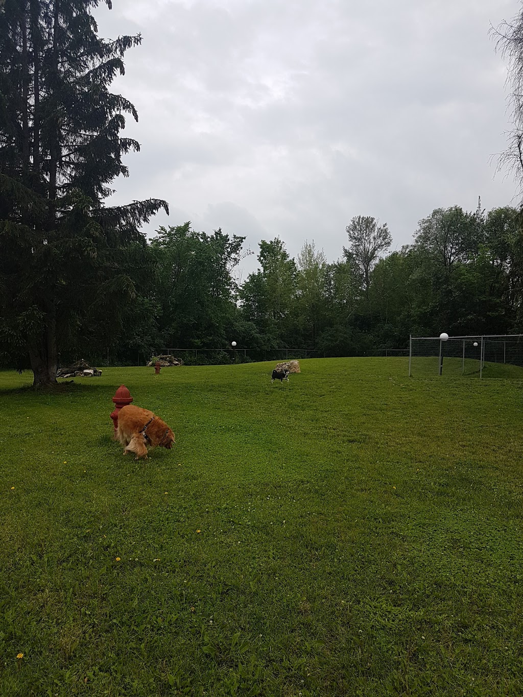 Peterborough West Animal Hospital | 2605 Stewart Line, Cavan, ON L0A 1C0, Canada | Phone: (705) 745-4800