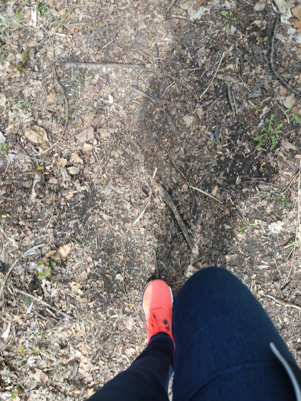 Jackie Parker Off-Leash Dog Park | AB-14, Edmonton, AB T6L 6B6, Canada