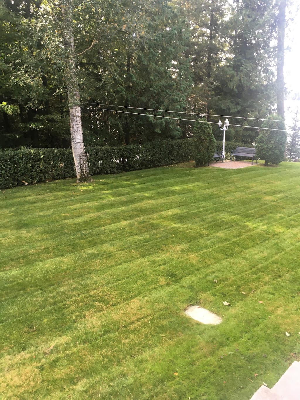 North Kawartha Lawn | 1 Burleigh St, Apsley, ON K0L 1A0, Canada | Phone: (613) 334-1079