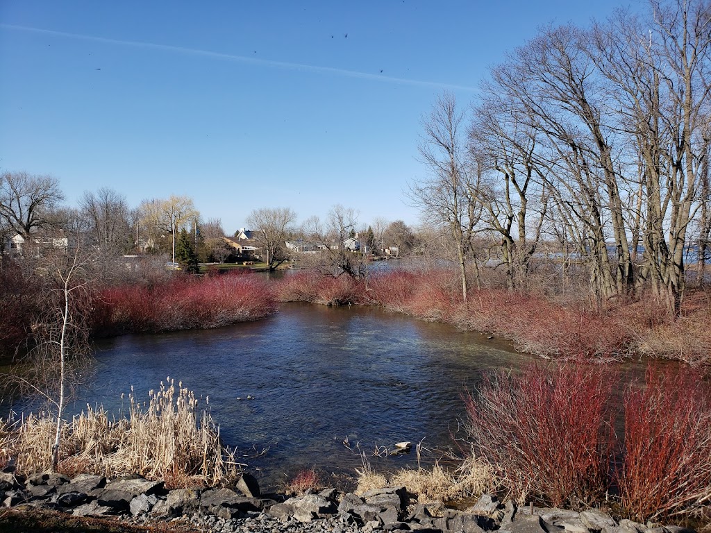 Bosco Camp | 663 Bd du Bord de lEau, Salaberry-de-Valleyfield, QC J6S 0B5, Canada | Phone: (450) 371-6825