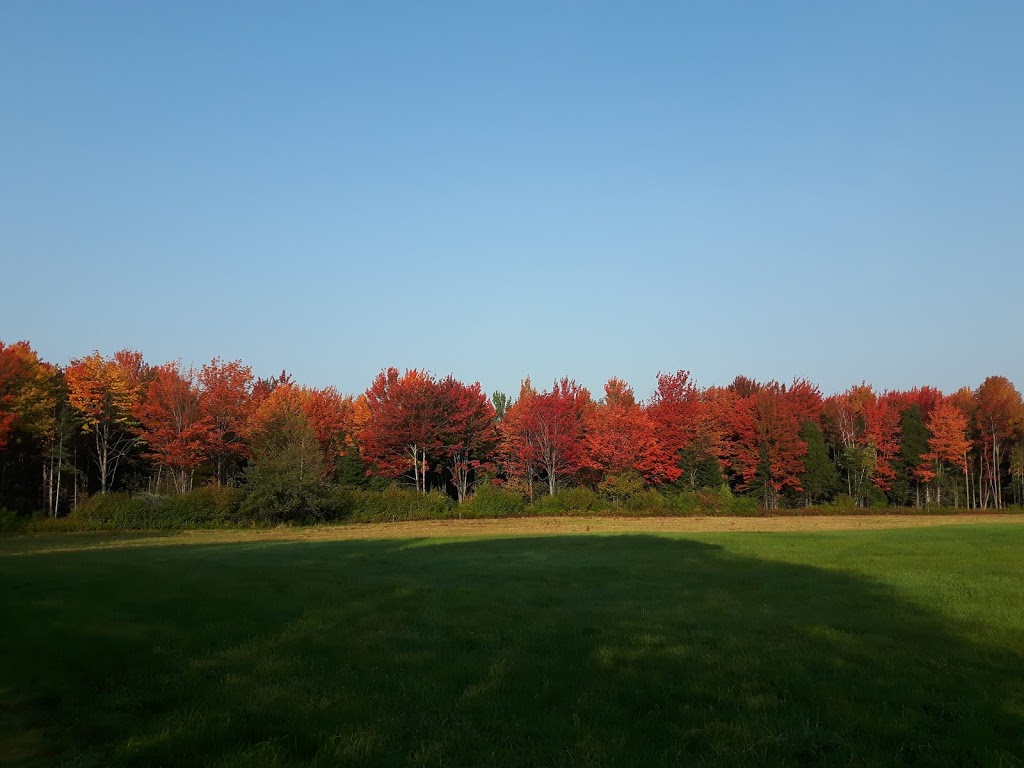 Ferme ForThé inc | 433 QC-108, Cookshire-Eaton, QC J0B 1M0, Canada | Phone: (819) 588-4740