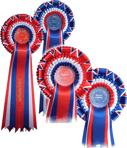 Thistle Ridge Equestrian Services | 3491 Hunt Line Rd, Arnprior, ON K7S 3G7, Canada | Phone: (613) 623-5016
