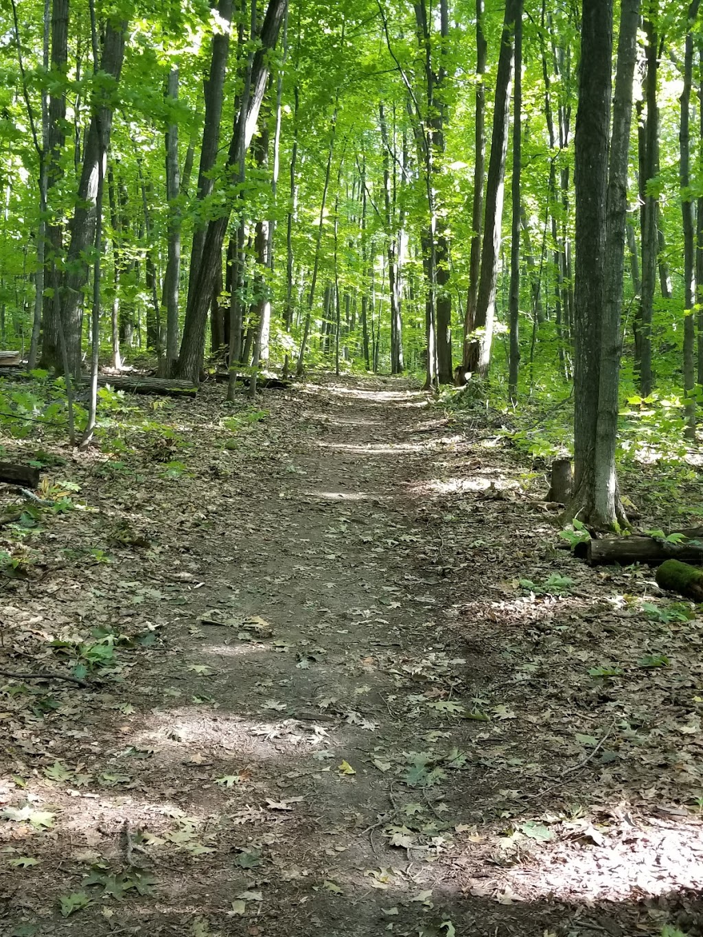 Deer Campground | Tiny, ON L9M 1R2, Canada | Phone: (705) 549-2231