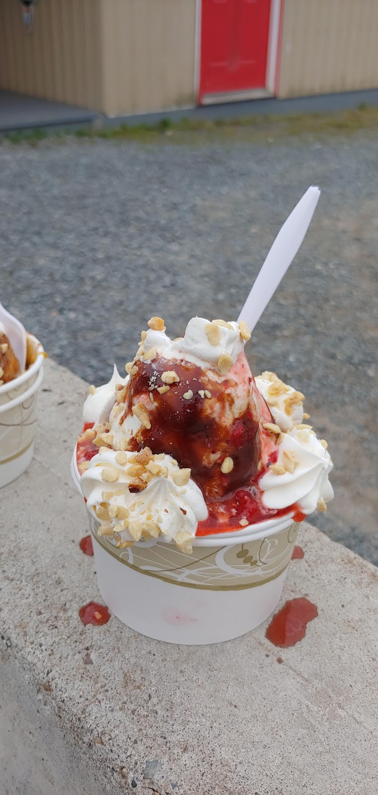 Summertime Treats | 6203 NS-354, Kennetcook, NS B0N 1P0, Canada | Phone: (902) 362-2298