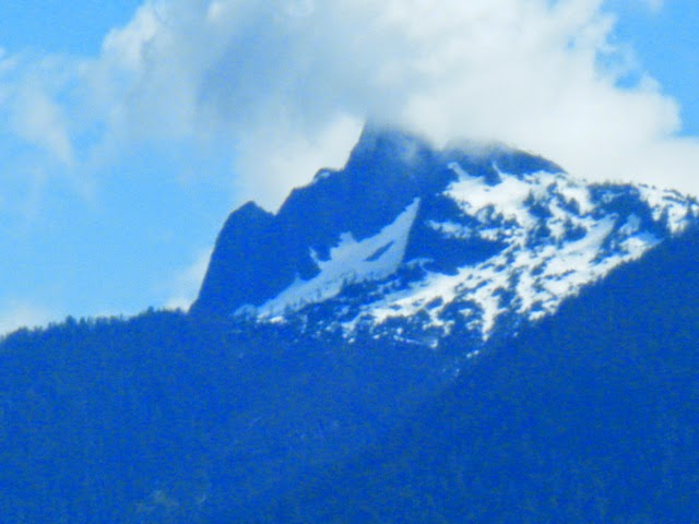 Aquarius Rising | 1511 Henderson Ave, Roberts Creek, BC V0N 2W2, Canada | Phone: (604) 740-1780