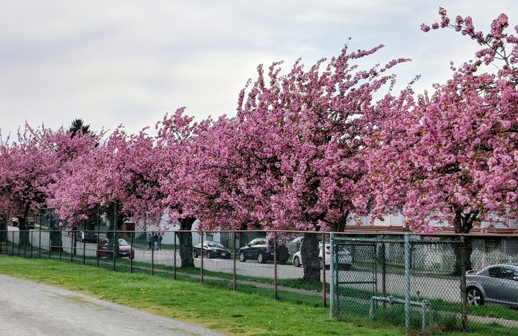 Sir Charles Tupper Secondary School | 419 E 24th Ave, Vancouver, BC V5V 2A2, Canada | Phone: (604) 713-8233